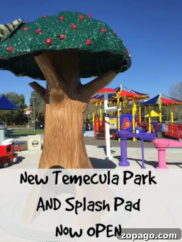 Temecula Inclusive Park and Splash Pad 2 A vibrant, accessible playground with a large tree-shaped structure. Colorful climbing frames and slides are visible, inviting children of all abilities to play. A sign in the background reads "New Temecula Special Needs Park and Splash Pad Now Open."