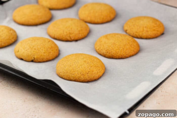 Golden Cornbread Cookies 6 Corn Flour Cookies cooling on a rack