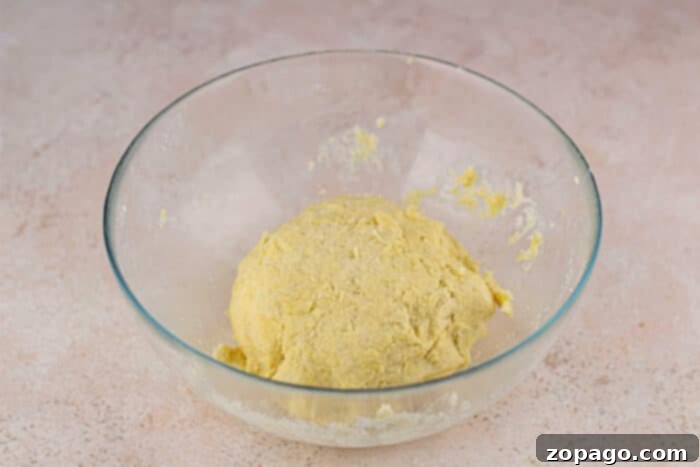 Flaky Dairy-Free Pie Crust 4 no butter pie crust