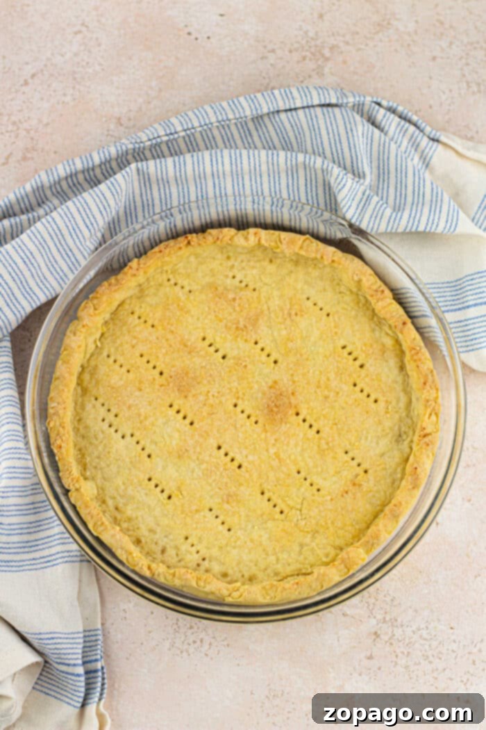 Flaky Dairy-Free Pie Crust 6 Egg Free Dairy Free Pie Crust