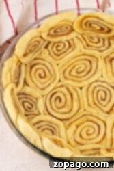 Unbaked cinnamon rolls, resembling a delicate pie crust, are arranged in a circular glass dish on a light surface.