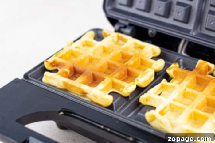 Golden corn waffles with a crispy exterior and tender, fluffy interior, served with toppings.
