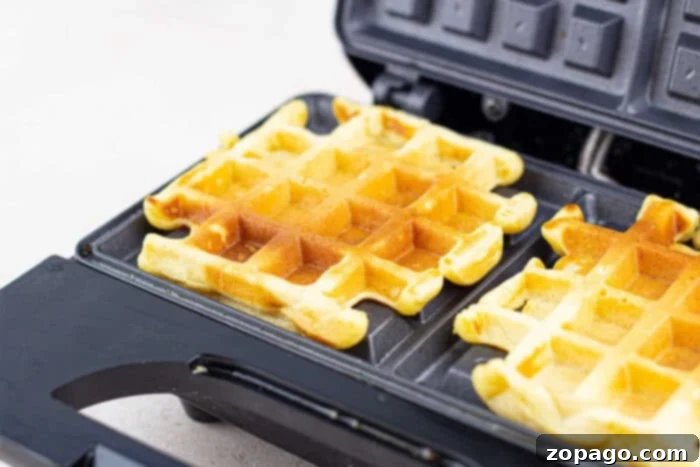 Crispy Cornmeal Waffles 6 Golden corn waffles with a crispy exterior and tender, fluffy interior, served with toppings.