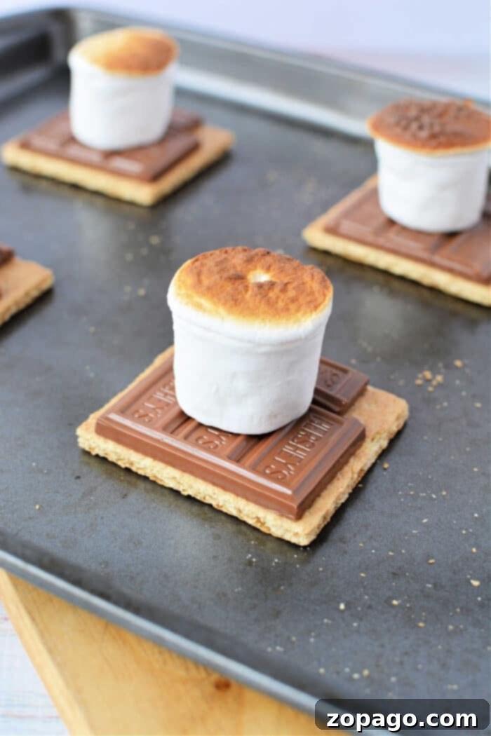 Baked S'mores Perfection 6 A close-up of a perfectly toasted s'more in the oven, showing melted chocolate and golden marshmallow.
