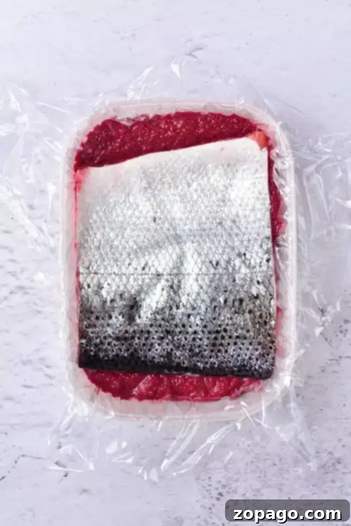 Mastering Salmon Curing 7 A piece of salmon fillet with skin, expertly cured in a red glaze or marinade, sits on a white surface wrapped in clear plastic wrap.