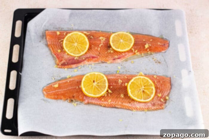 Oven-Baked Trout Perfection 4 Various baked trout fillets on a sheet pan, showcasing oven baked trout.