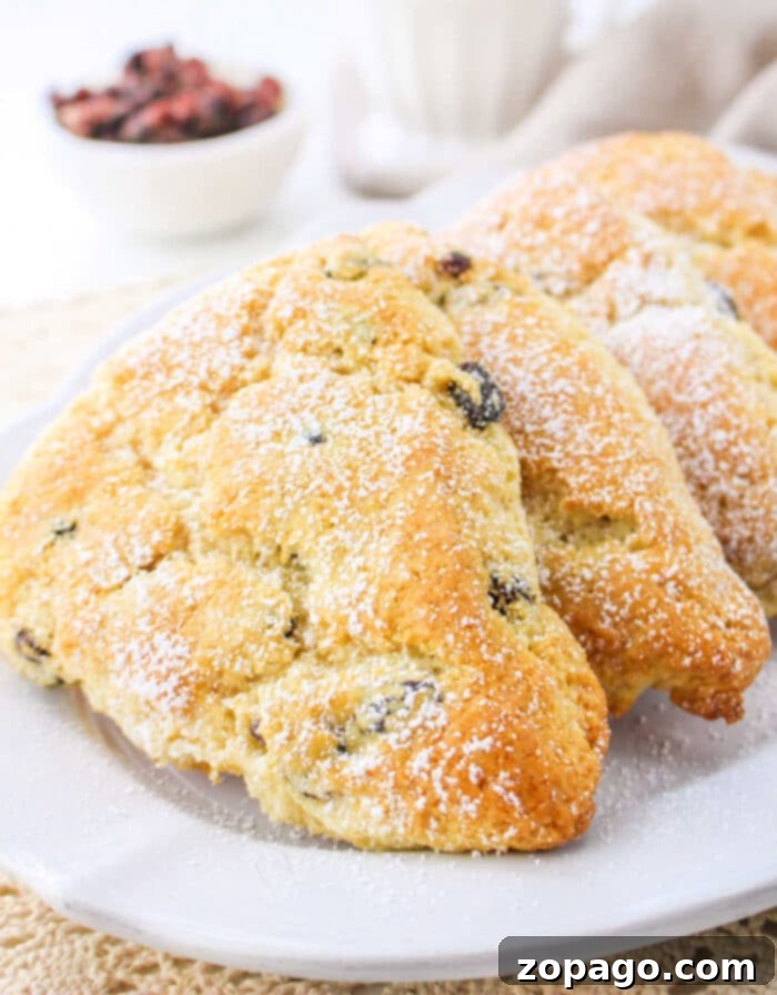 Easy Bisquick Scones 2 bisquick scones