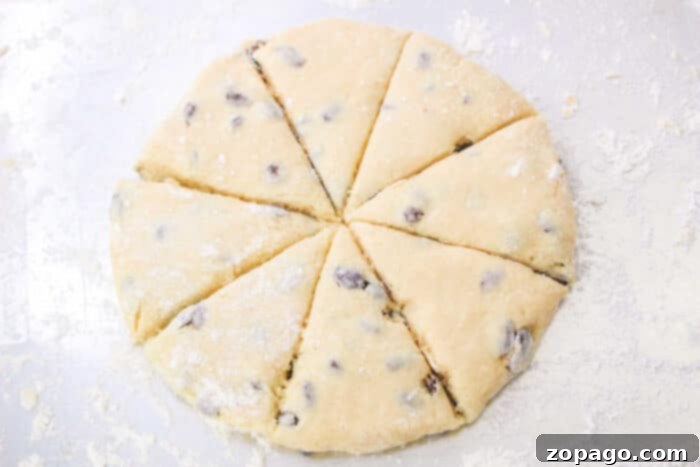 Easy Bisquick Scones 5 Bisquick Scone Recipe