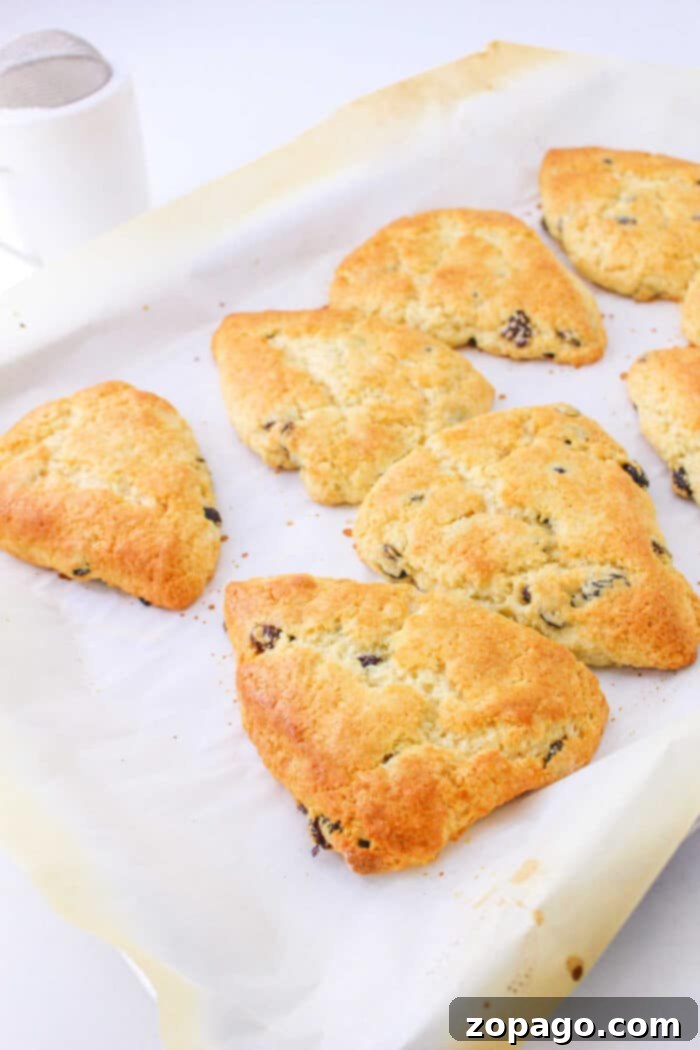 Simple Bisquick Scones 6 A pair of hands placing a freshly baked Bisquick scone onto a wire cooling rack after being removed from the oven.