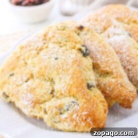 Three golden, triangular Bisquick scones dusted with powdered sugar rest elegantly on a white plate, ready to be served.