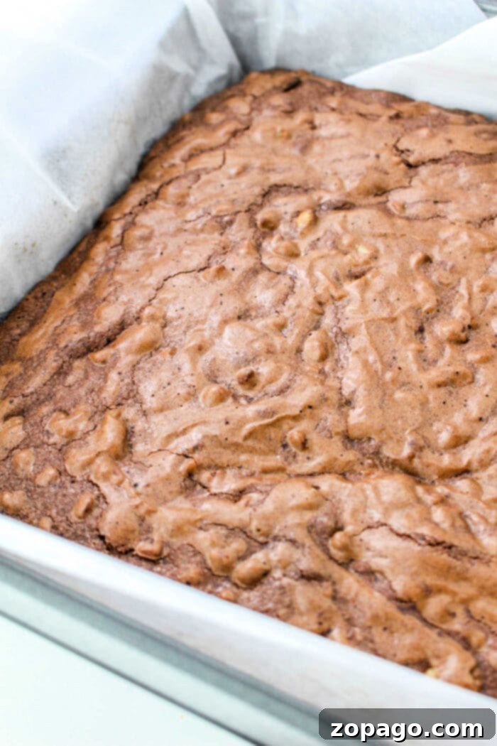 Aged to Perfection 100 Hour Brownies 6 Tik Tok Brownies, highlighting the popular treat ready for serving after resting.