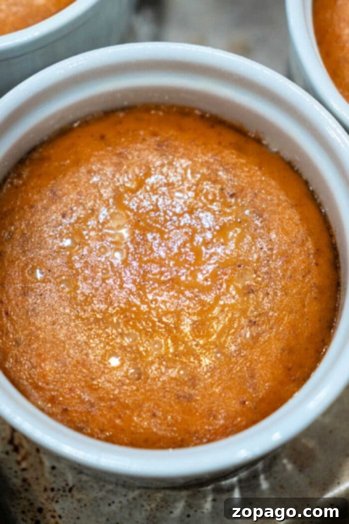 Individual Baked Pumpkin Custards 7 A single individual pumpkin pie in a ramekin, ready to be served, highlighting its appealing golden top and smooth texture.