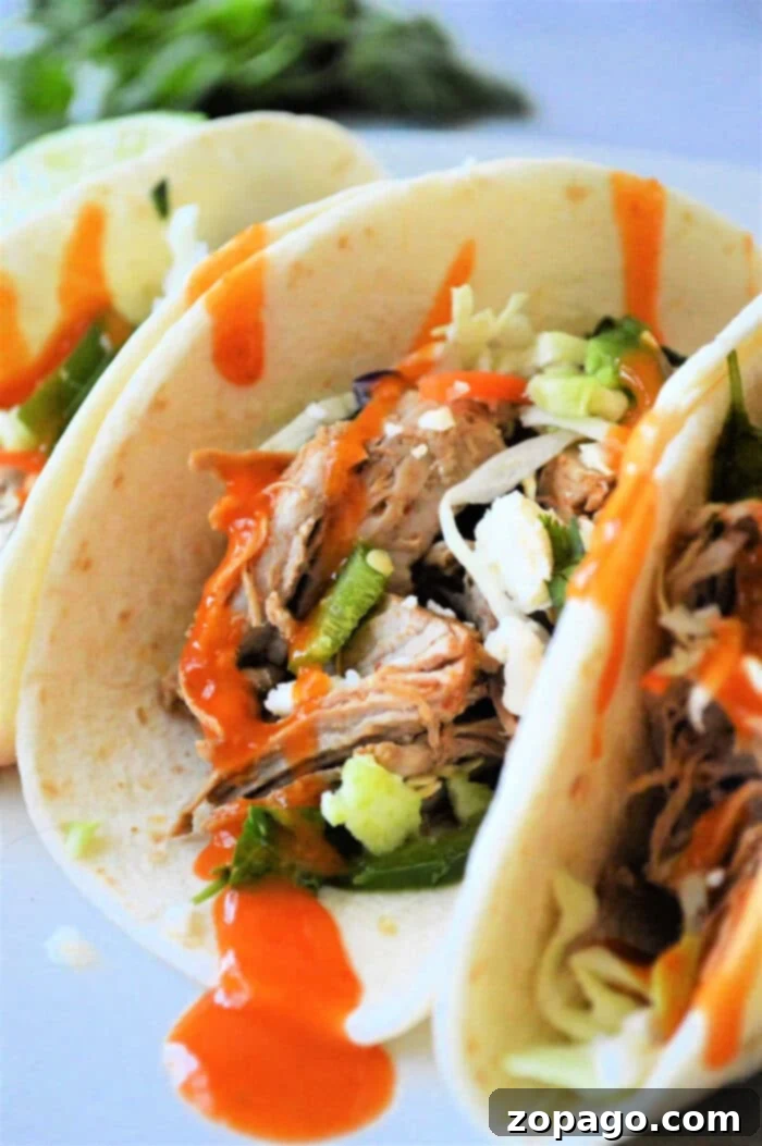 Pork Loin Leftover Creations 5 A close-up of soft tacos filled with shredded pork and garnished with fresh toppings, drizzled in a vibrant orange sauce, offers a tantalizing twist for those exploring leftover pork loin recipes as well.