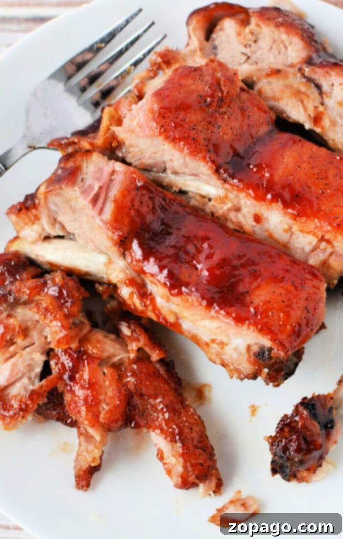 Next-Day Rib Delights 2 Leftover Ribs Recipes: A mouth-watering display of various dishes made from leftover ribs, showcasing the versatility of this meal.