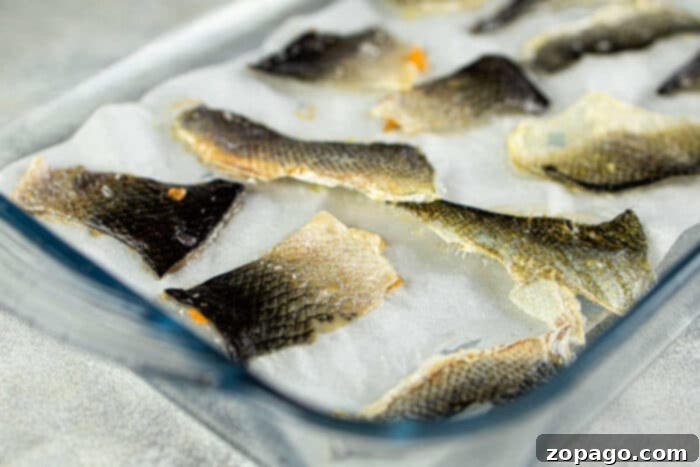 Golden Crispy Fish Skin 5 Fried Fish Skins on paper towel