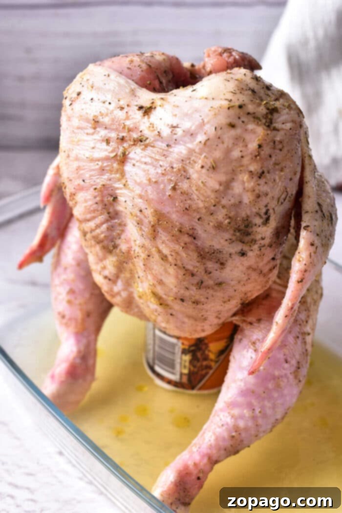 Oven-Baked Beer Can Chicken 4 Beer can chicken in oven, seasoned and raw, ready for baking on a special roasting stand.
