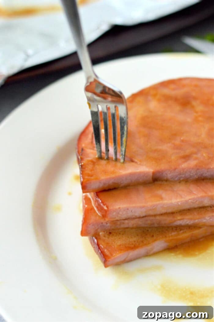 Baked Ham Steak 6 Easy Ham Steak Recipe for Family Dinners