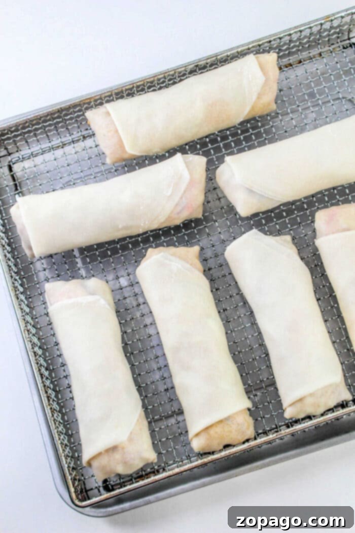 Crispy Air Fryer Spring Rolls 5 Freshly prepared homemade spring rolls, ready for air frying