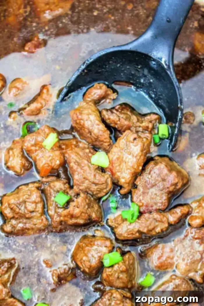 Tender Braised Beef Bites 2 A ladle filled with succulent Braised Beef Tips in a rich brown sauce, garnished with chopped green onions. The tender beef pieces are submerged in the savory sauce, and the ladle is black.