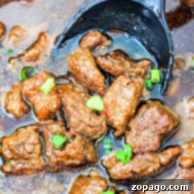 Close-up of braised beef tips stew with succulent chunks of beef, garnished with green onions, in a rich dark brown sauce gracefully cradled by a black ladle.