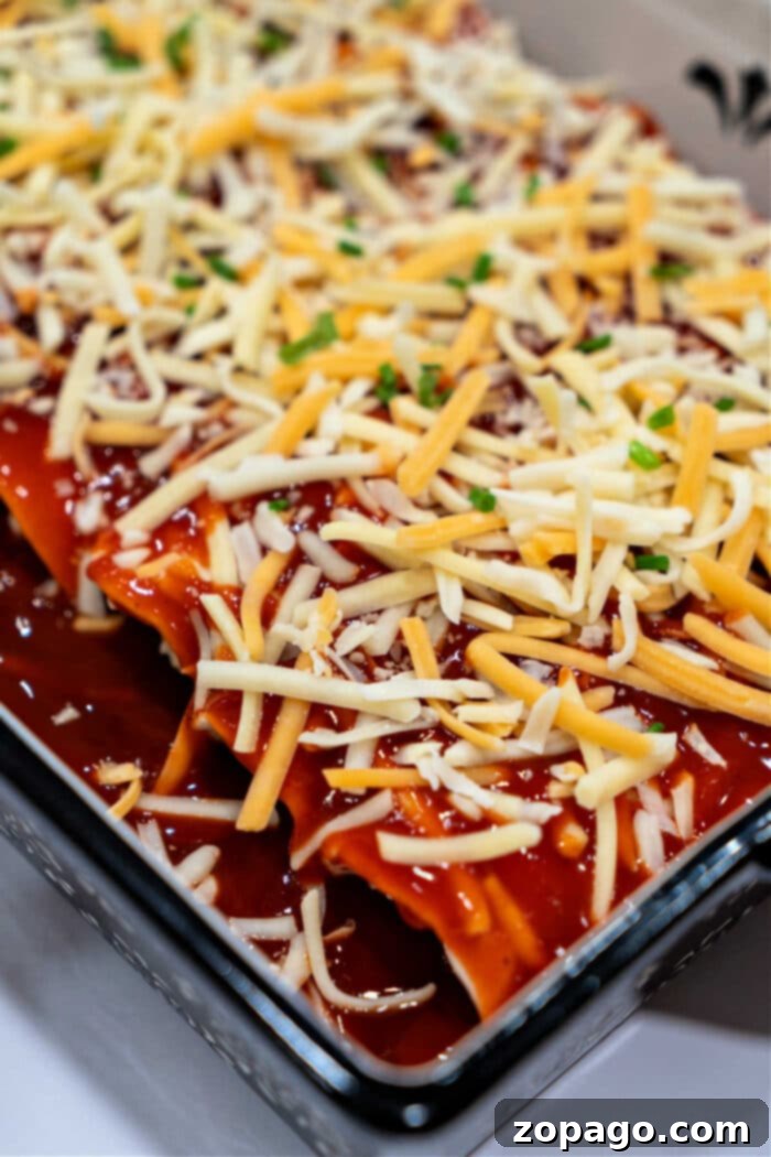 Easy Rotisserie Chicken Enchiladas 5 Freshly baked chicken enchiladas, golden and bubbling with melted cheese.
