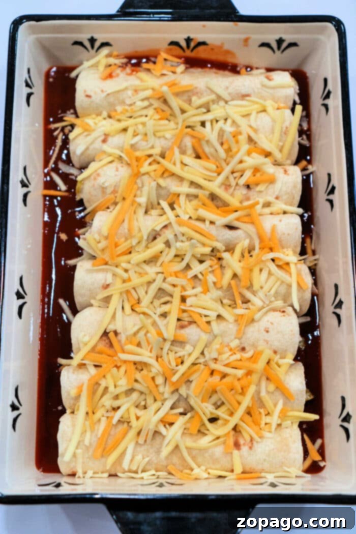Easy Rotisserie Chicken Enchiladas 9 A vibrant, delicious platter of easy rotisserie chicken enchiladas, garnished with fresh toppings.