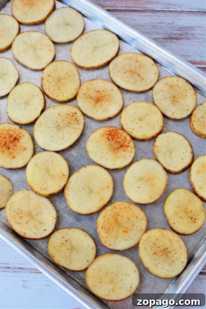 Crispy Oven Roasted Potato Slices 9 Close up of a single potato slice showing its crispy texture