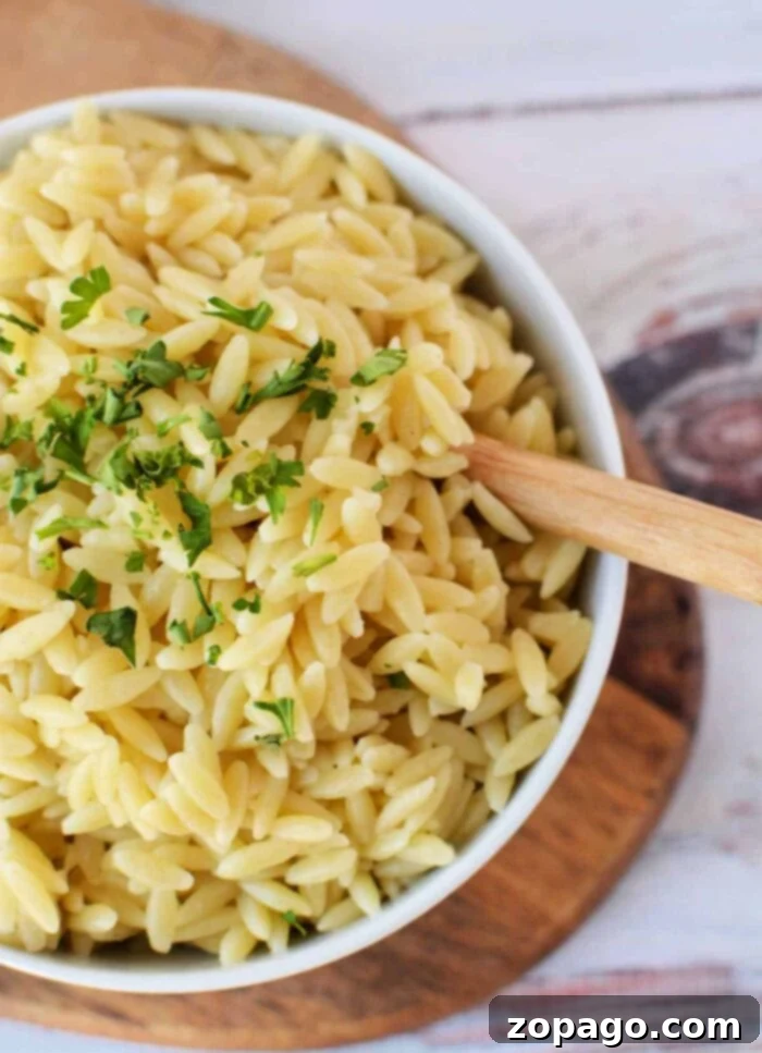 How to Cook Orzo Perfectly 2 A close-up of perfectly cooked orzo pasta in a bowl with fresh herbs, ready to serve.
