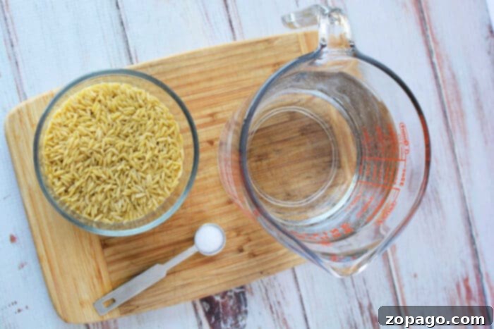 How to Cook Orzo in an Instant Pot
