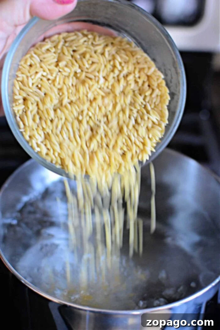 How to Cook Orzo Perfectly 5 A serving of cooked orzo in a small bowl, perfect for a single serving or two.