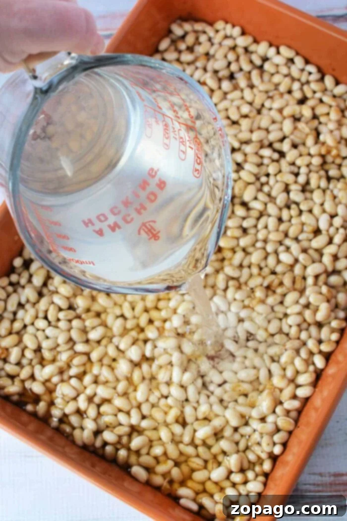 How Long to Bake Baked Beans at 350 Degrees 4 How to Cook Dried Navy Beans