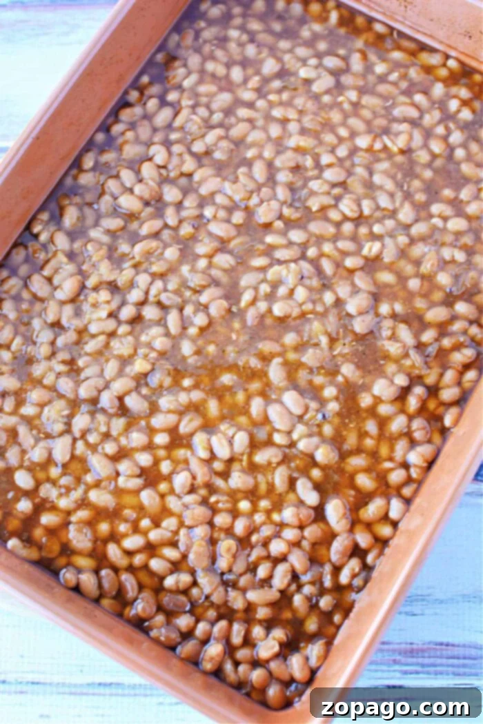 How Long to Bake Baked Beans at 350 Degrees 7 best beans to use to make baked beans