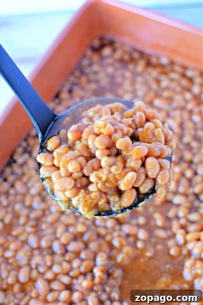 Optimal Bake Time for Baked Beans at 350F 8 How Long to Cook Baked Beans in Oven at 350: A beautifully styled bowl of freshly baked beans, garnished with fresh herbs, indicating the readiness after slow cooking in the oven.