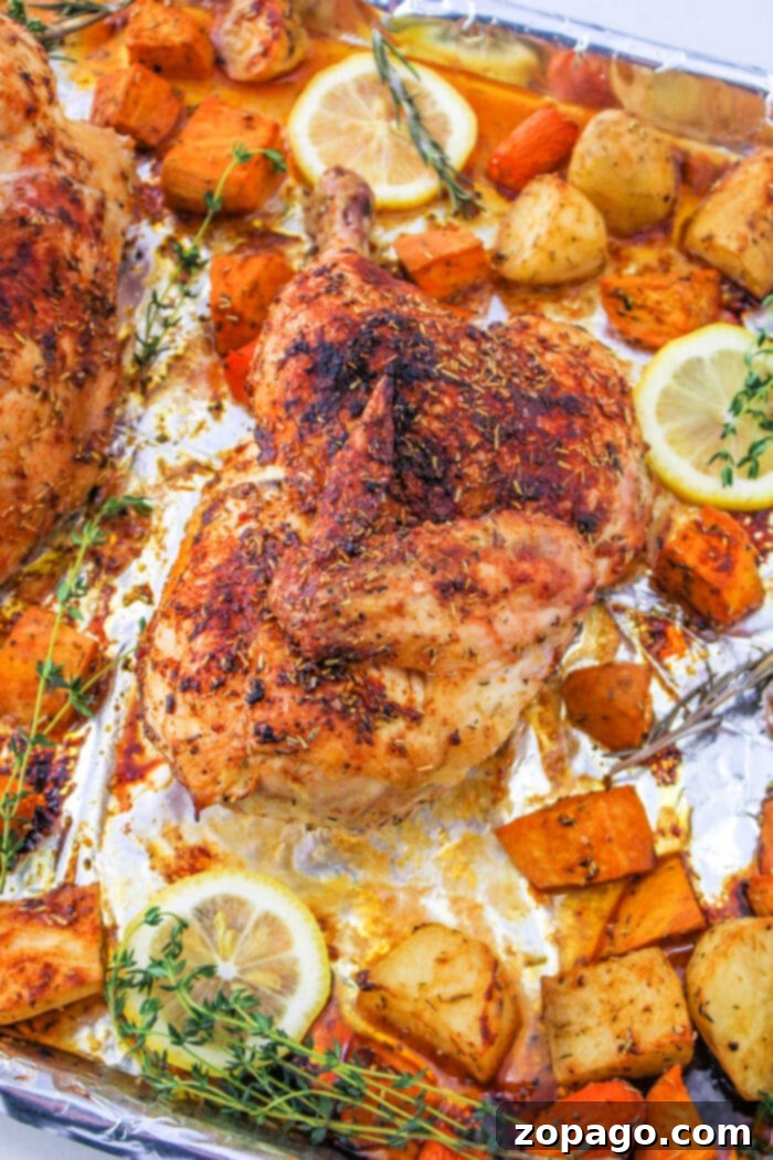 Perfectly Roasted Half Chicken Cooking Time at 400 Degrees 9 Deliciously roasted half chicken, golden brown and ready to serve.