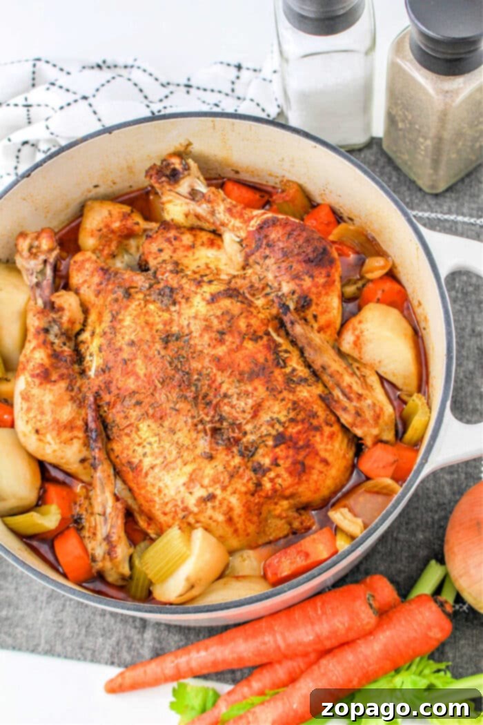 Dutch Oven Roasted Chicken 5 A whole roasted chicken pot roast, garnished with fresh herbs and served beautifully