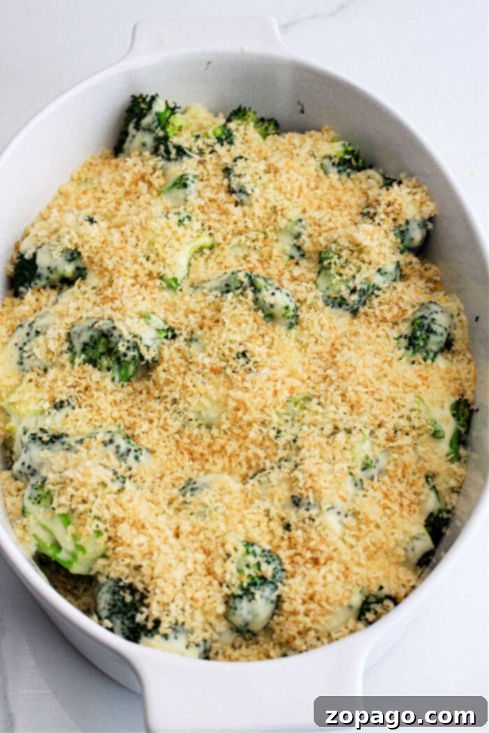 Cheesy Baked Broccoli 7 Cheesy Broccoli Bake with a golden, crispy topping.