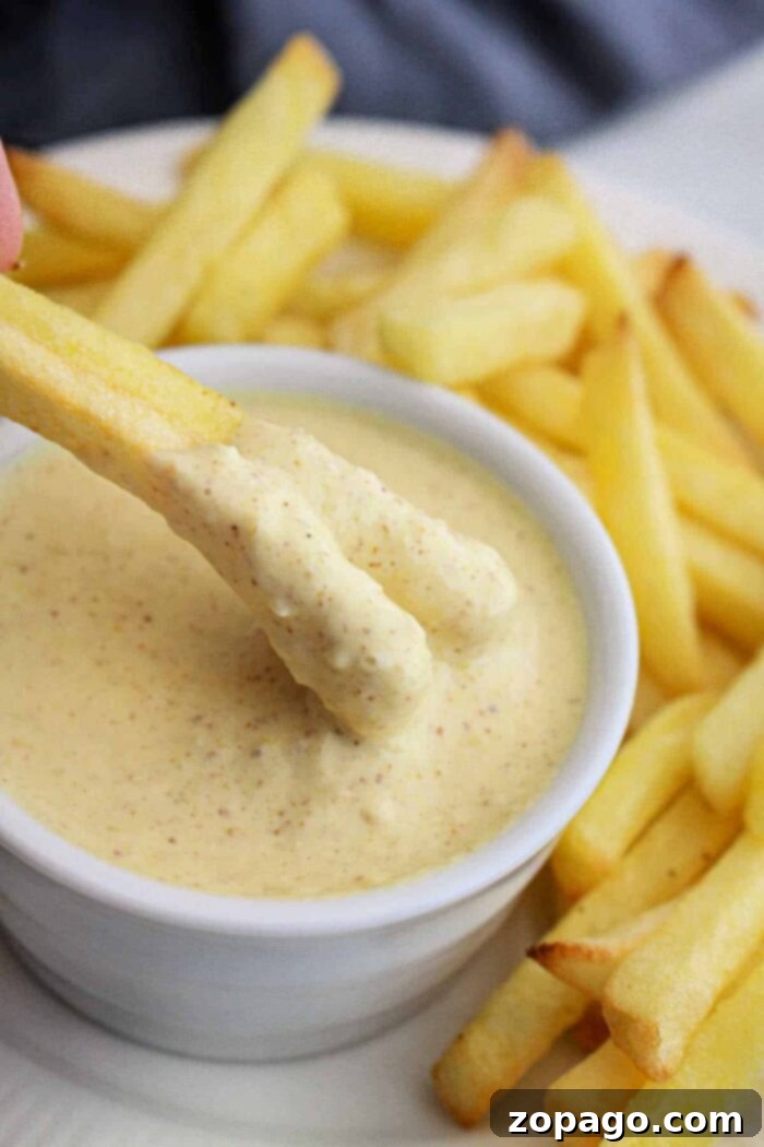 Dip Into Flavor Burger King Sauces 6 How to Make Burger King Sauces - Zesty Sauce
