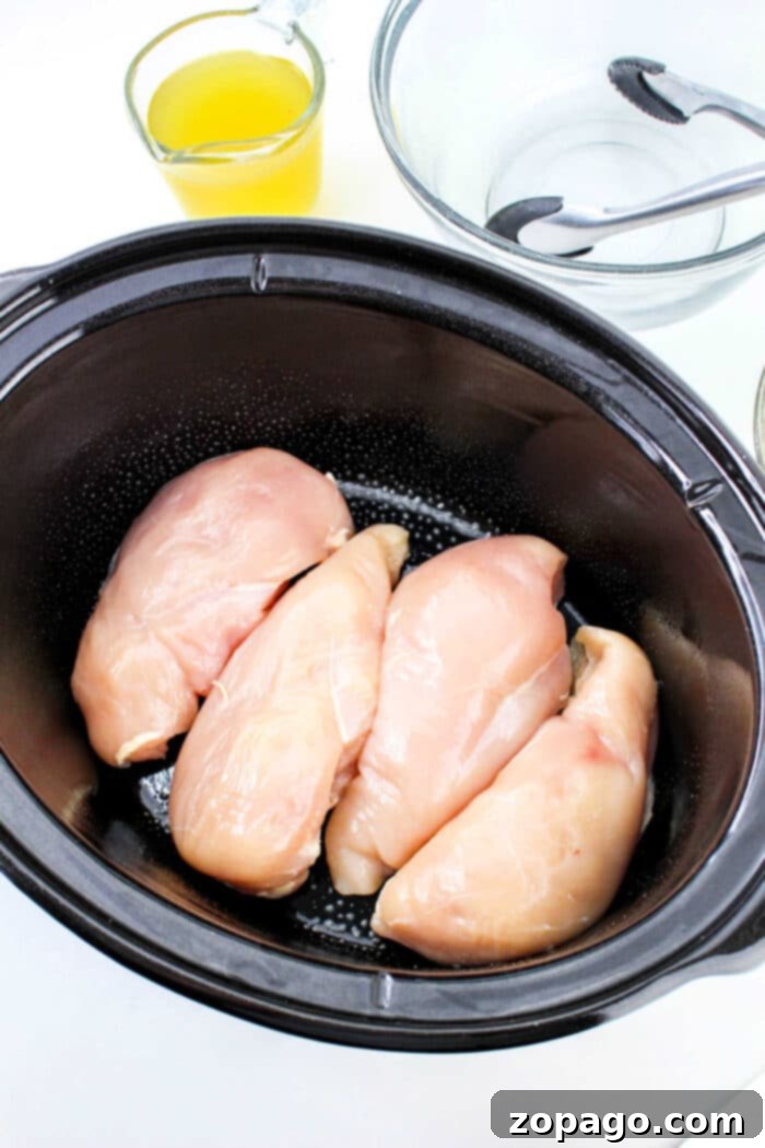 Easy 5-Ingredient Slow Cooker Chicken and Stuffing 5 A delicious and easy slow cooker chicken and stuffing casserole, perfect for a comforting family dinner any night of the week.