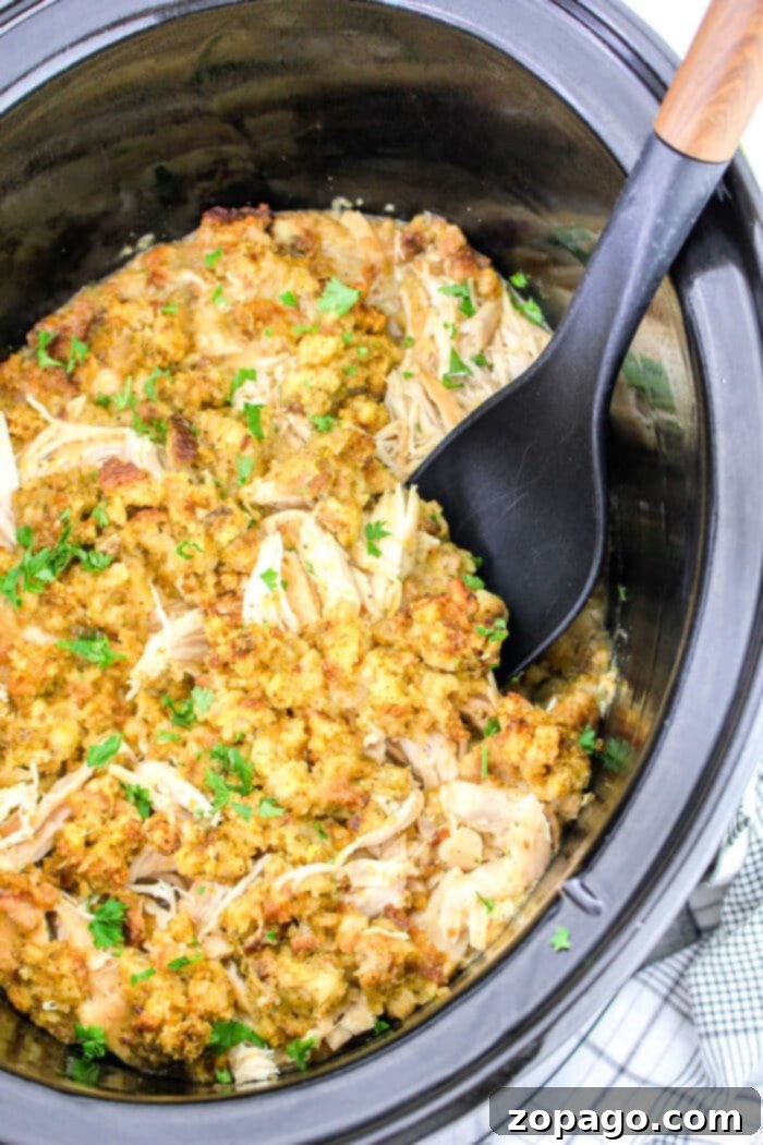 Easy 5-Ingredient Slow Cooker Chicken and Stuffing 7 Close-up of the delicious slow cooker chicken and stuffing, expertly shredded and mixed, ready to serve and enjoy.