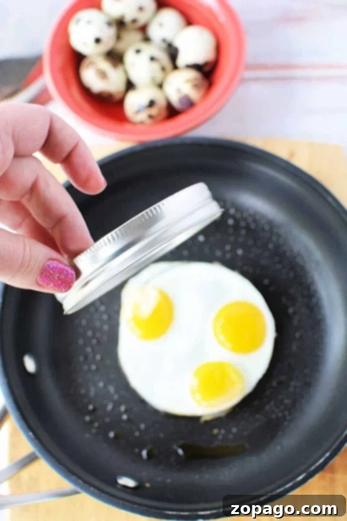 Easy Ways to Cook Quail Eggs 6 best way to cook quail eggs - Perfectly cooked quail eggs, ready to be enjoyed