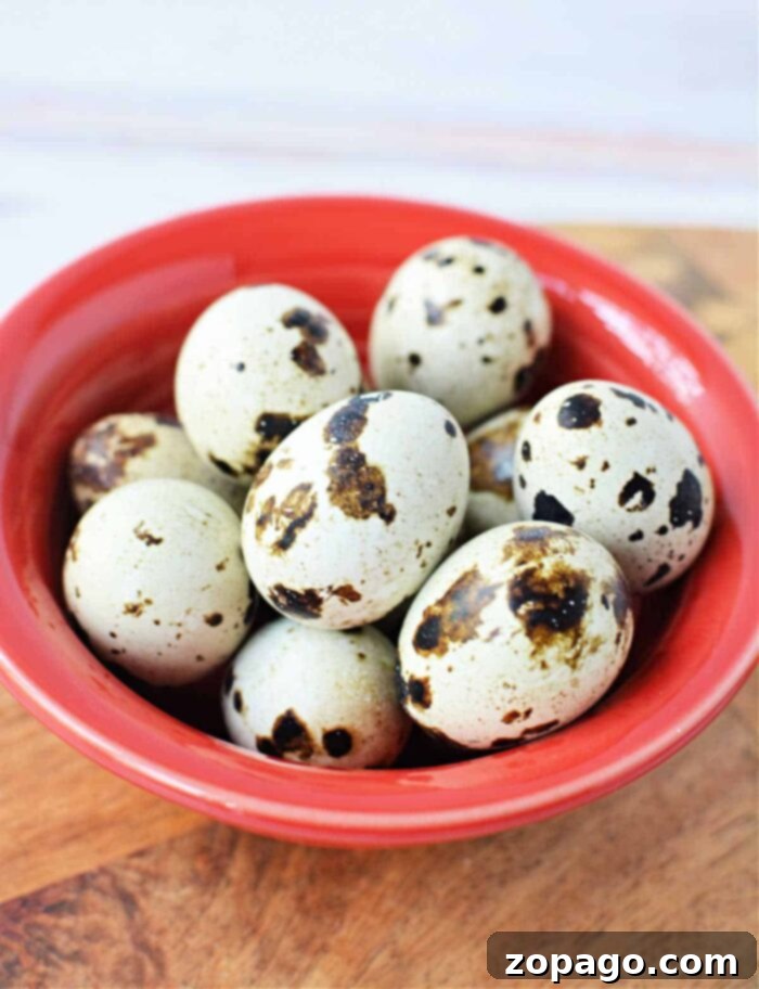 Perfectly Cooked Quail Eggs 9 Tips for Cooking Quail Eggs