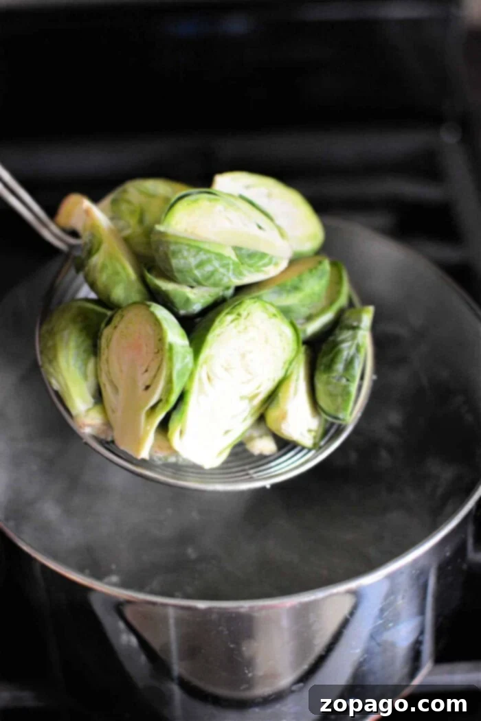 Perfectly Boiled Brussels Sprouts 4 Fresh Brussels sprouts in a colander, draining after being blanched in boiling water on the stove, showing a vibrant green and tender-crisp texture. This stage is crucial for achieving perfect boiled Brussels sprouts, preparing them for delicious future applications.