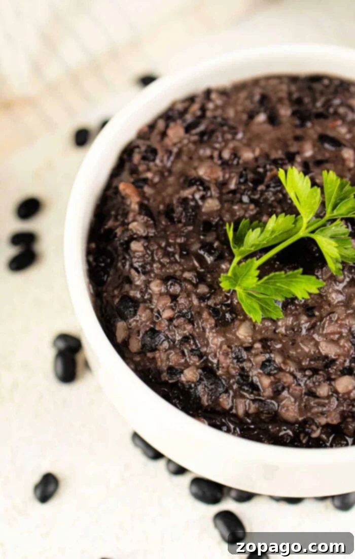 Easy Refried Black Beans from a Can 2 Refried Black Beans Recipe - creamy and delicious
