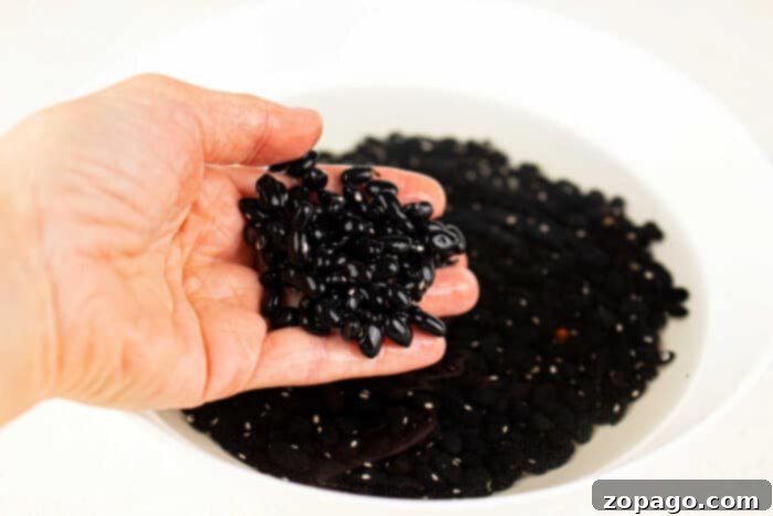 Easy Refried Black Beans from a Can 3 Dried black beans ready for soaking and cooking