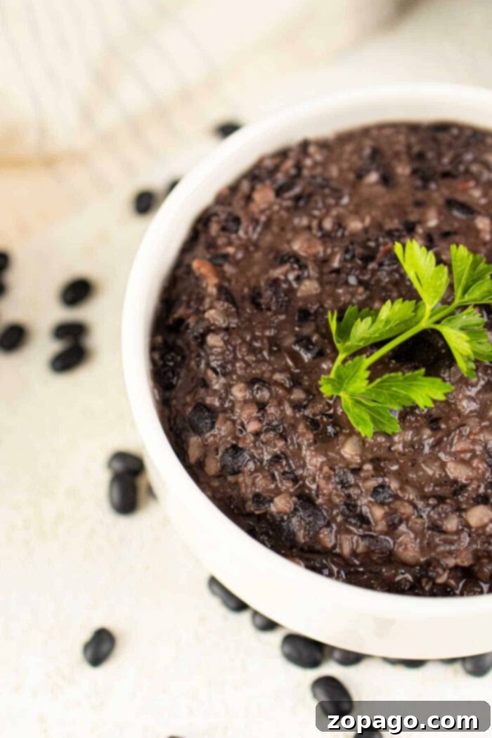Next Level Canned Refried Beans 5 A white bowl of flavorful mashed black bean garnished with parsley is surrounded by scattered black beans, offering an enticing idea on how to make canned refried beans better by blending them into this rich creation.