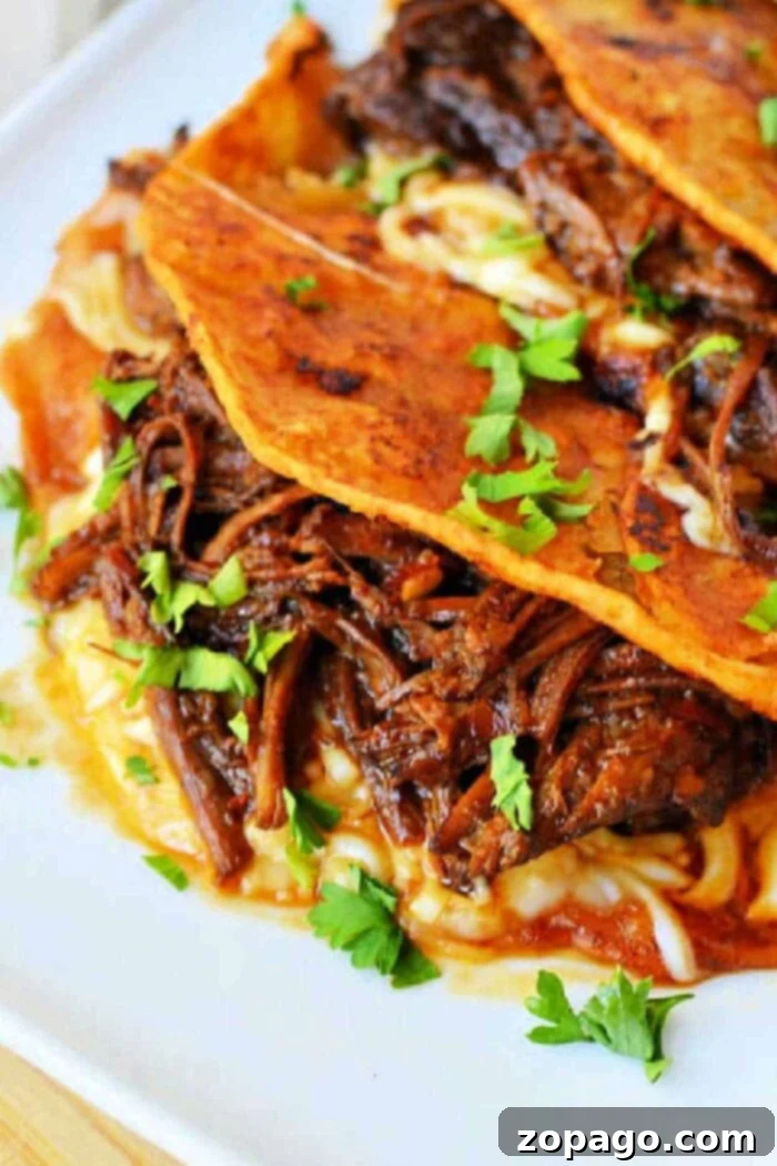 Slow-Cooked Short Rib Tacos 2 A close-up of three short rib tacos on a white plate. The tacos are filled with shredded meat and melted cheese, topped with chopped fresh cilantro. A bowl of dipping sauce is partially visible in the background.