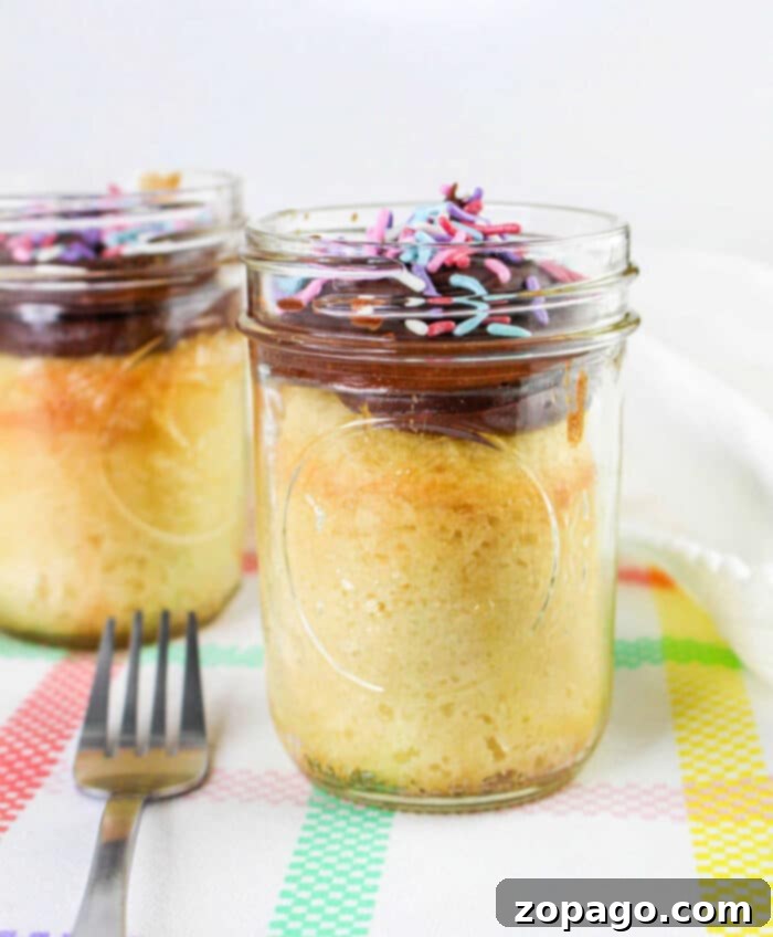 Portable Cake Delights 2 Vanilla cake in glass jars, showcasing an elegant take on how to bake cake in a jar, are adorned with chocolate frosting and colorful sprinkles while resting on a patterned tablecloth.