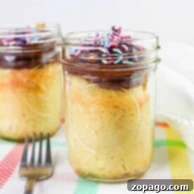 Vanilla cake in glass jars, showcasing an elegant take on how to bake cake in a jar, are adorned with chocolate frosting and colorful sprinkles while resting on a patterned tablecloth.