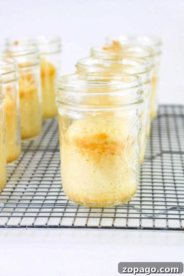 Portable Cake Delights 6 Jar Cakes