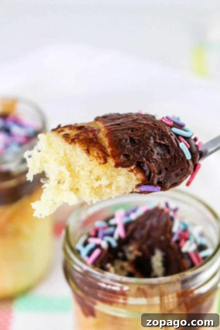 Portable Cake Delights 8 cake in a jar with cake mix